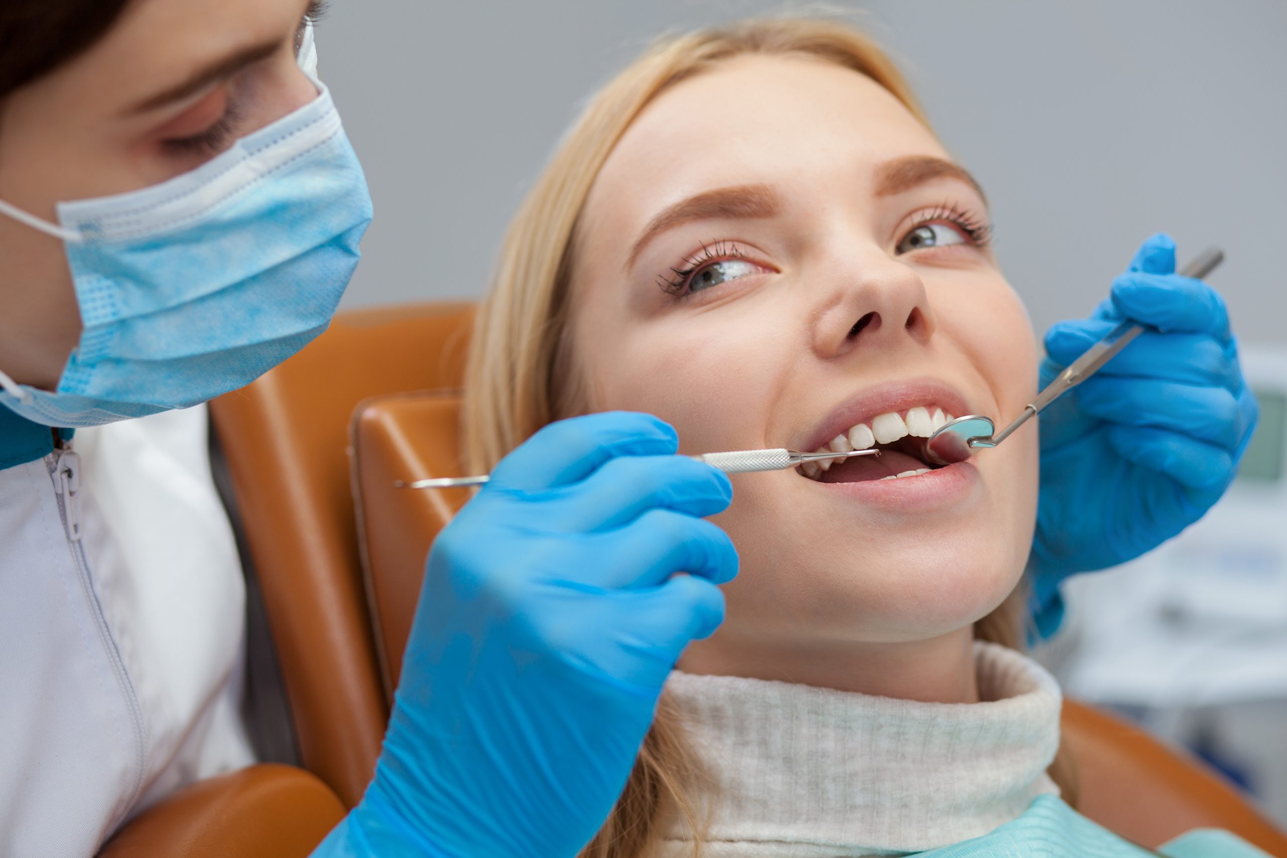 Female Dentist Working At Her Dental Clinic Female Dentist Working At Her Dental Clinic
