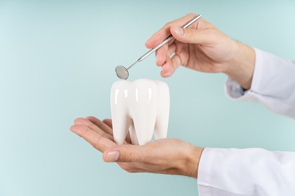 Dental,Care,Concept.,Dentist,Holds,A,Healthy,Tooth,Model,And